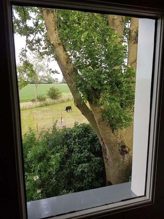 B&B Oldenbosch Holwierde Zewnętrze zdjęcie